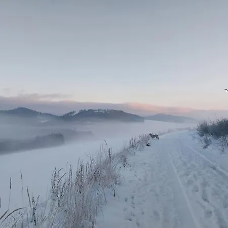 Haus Julia Direkt Am Hennesee Mitten Im Sauerland Hébergement de vacances *