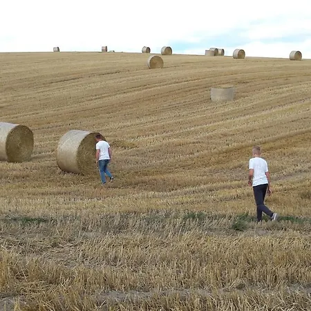 Haus Julia Direkt Am Hennesee Mitten Im Sauerland
