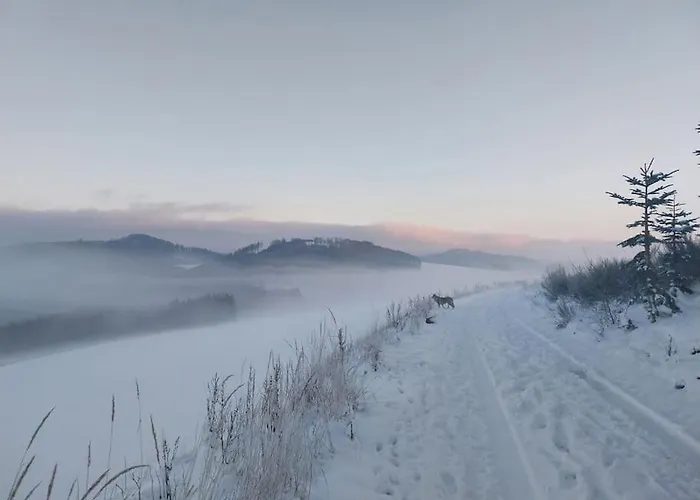 Haus Julia Direkt Am Hennesee Mitten Im Sauerland Nyaraló *